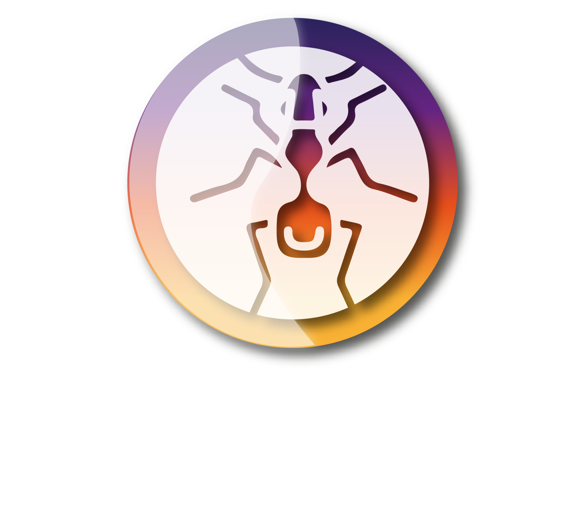 purchase-order-funding-the-ant-capital